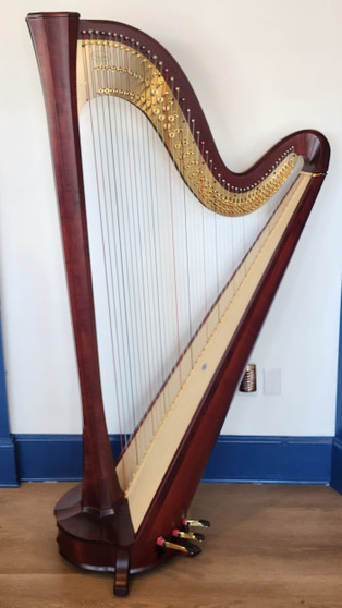 Salvi Electra Essential SG New #P23535