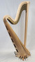 Lyon & Healy Style 30 New #23779