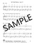 Lead Sheet Basics, Book 2 (C Tuning)
