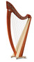 Salvi Titan in Cherry Finish