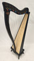 Dusty Strings Ravenna 34 (Preowned #24021)