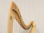 Lyon & Healy Troubadour VI  (Preowned #12076)