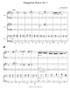 Hungarian Dance No. 5 for 3 pedal harps arr. by Lynne Abbey-Lee PDF Download
