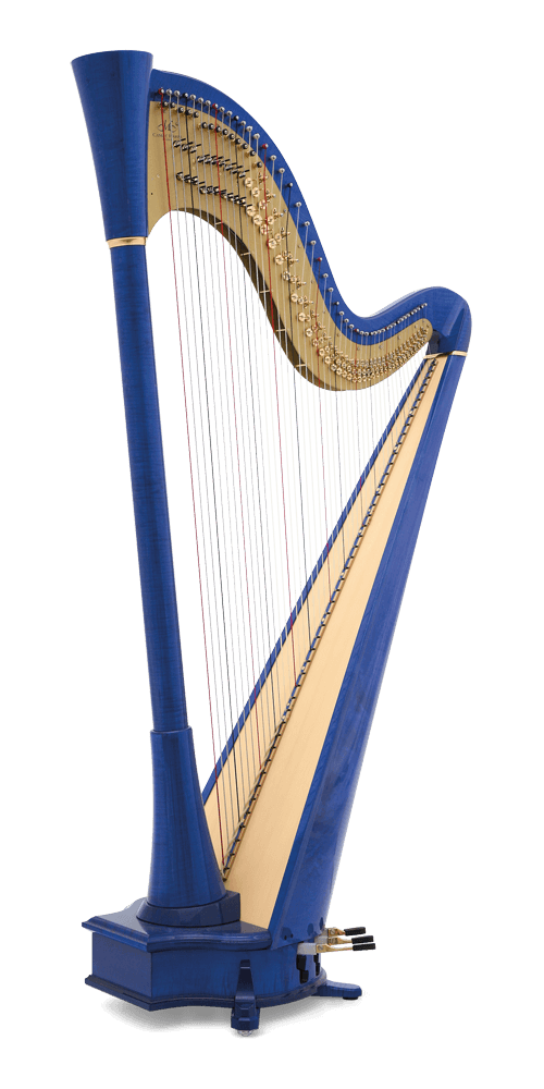 Camac The Blue 47 (Available for Order) - Harp District