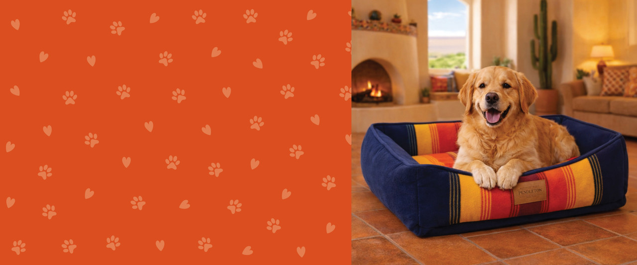 Golden retreiver laying on a Pendleton dog bed in a cozy home.