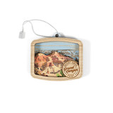 Grand Canyon Bright Angel Point Ornament (1)