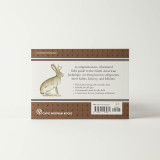 Field Guide To The North American Jackalope Book Back