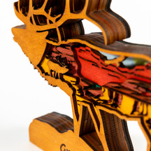 Grand Canyon Elk Shelf Sitter Close Up Grand Canyon Elk Shelf Sitter Close Up