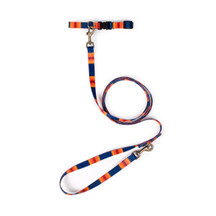 Pendleton Grand Canyon Adventure Pet Leash 1 Inch (3)