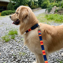 Pendleton Grand Canyon Adventure Pet Leash 1 Inch (2)