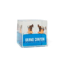 Grand Canyon Donkeys Water Cube Paperweight (1)
