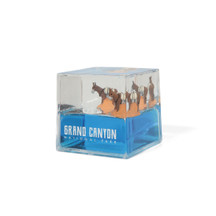 Grand Canyon Donkeys Water Cube Paperweight (3)