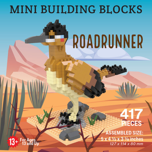 Roadrunner Mini Building Blocks (1)