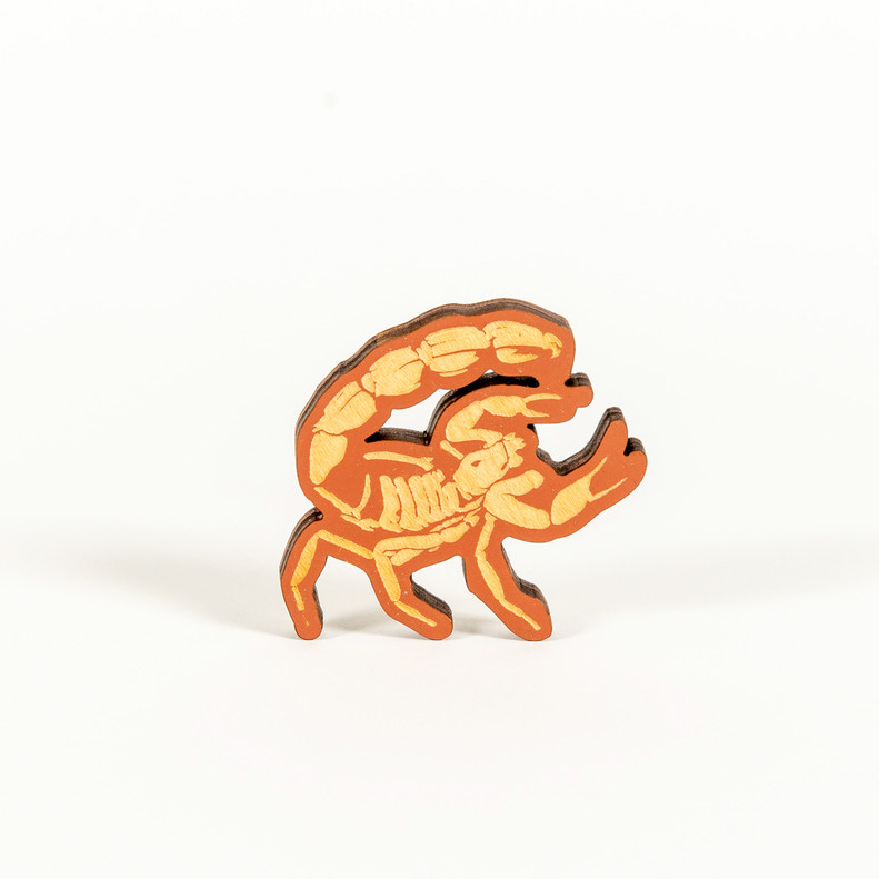 Grand Canyon Scorpion Mini Magnet