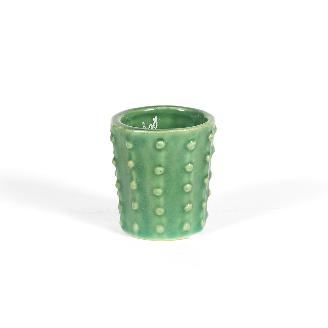 Grand Canyon Cactus Shot Glass