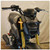 Honda Grom Front Signals (2013-Present) NEW RAGE CYCLES