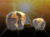 Golden Bear Healing Totem Sculpture