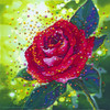 The Sacred Rose Energy Painting - Giclee Print
