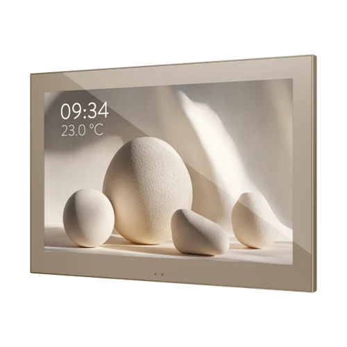 Z100. Color capacitive touch panel (10" display) - Champagne