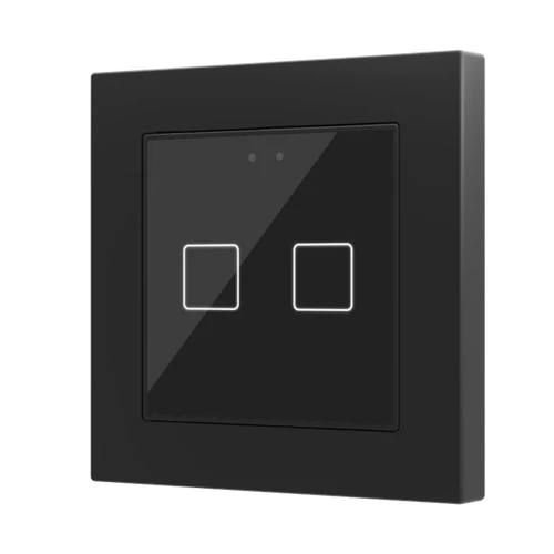 Flat 55 X2 v2. Glass capacitive push button 55x55 - 2 buttons - Anthracite (ZS55 frame not included)
