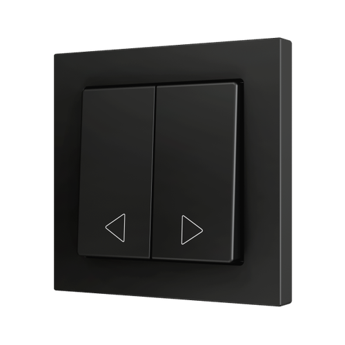 ZS55. Double Soft push button for 2 binary inputs 55x55 mm - Anthracite - Custom. Minimum 100 units per design