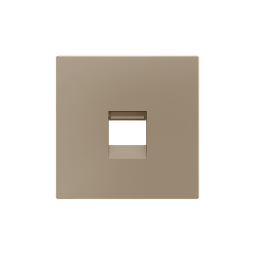 ZS55. Cover plate for RJ45 connector 55x55 mm - 1 insert - Champagne