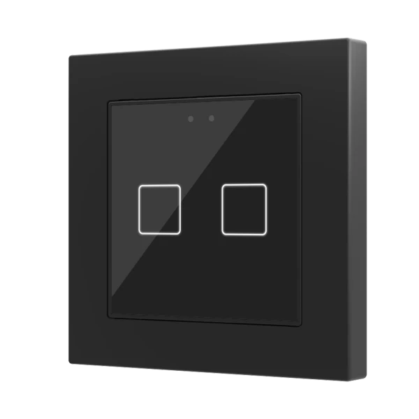 Flat 55 X2 v2. Glass capacitive push button 55x55 - 2 buttons - Anthracite (ZS55 frame not included)