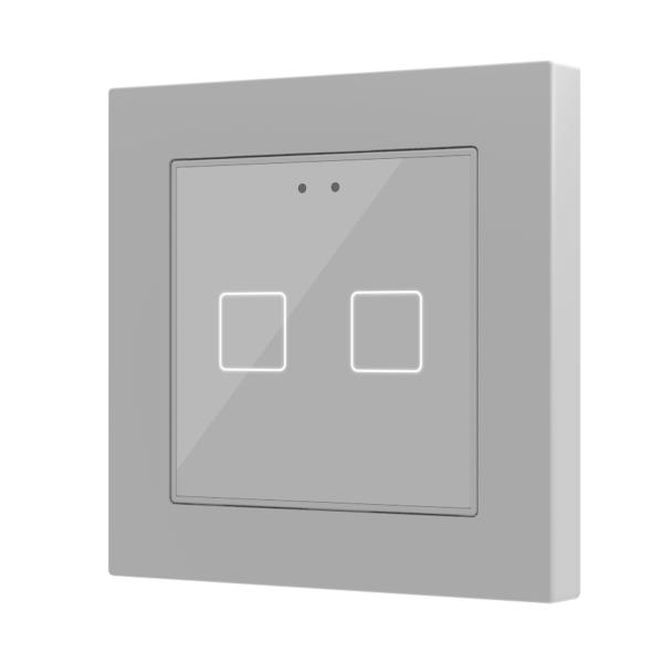 Flat 55 X2 v2. Glass capacitive push button 55x55 - 2 buttons - Silver (ZS55 frame not included)