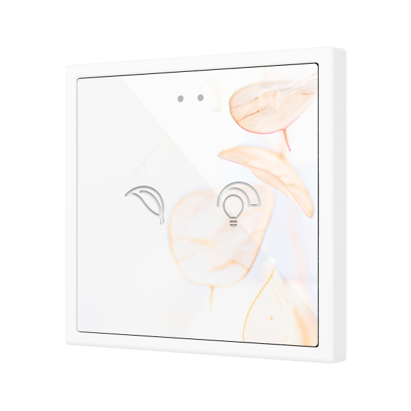 Flat 70 X2. Glass Capacitive push button 70x70 - 2 buttons - Custom (ZS70 frame not included)