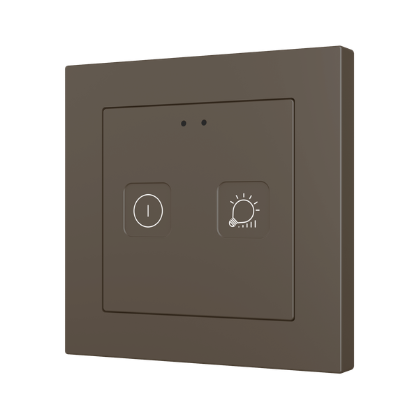 Tecla 55 X2. PC-ABS Capacitive push button 55x55 - 2 buttons - Custom (ZS55 frame not included)