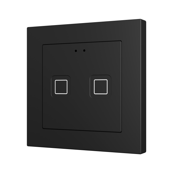 Tecla 55 X2. PC-ABS Capacitive push button 55x55 - 2 buttons - Anthracite (ZS55 frame not included)