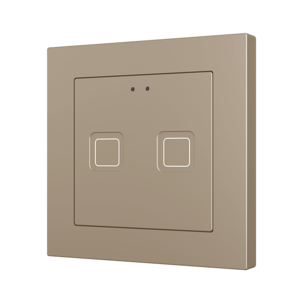 Tecla 55 X2. PC-ABS Capacitive push button 55x55 - 2 buttons - Champagne (ZS55 frame not included)