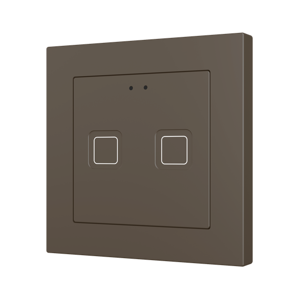 Tecla RGB 55 X2. PC-ABS Capacitive push button 55x55 - 2 buttons - Mocha (ZS55 frame not included)