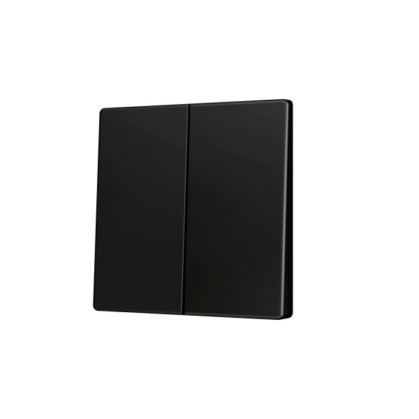 ZS55. Cover for Double KNX Soft push button 55x55 mm. Tilt down - Anthracite