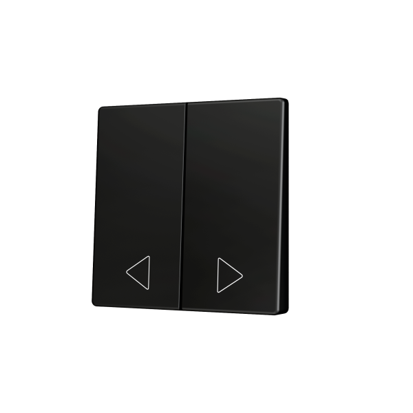 ZS55. Cover for Double KNX Soft push button 55x55 mm. Tilt down - Anthracite - Custom. Minimum 100 units per design