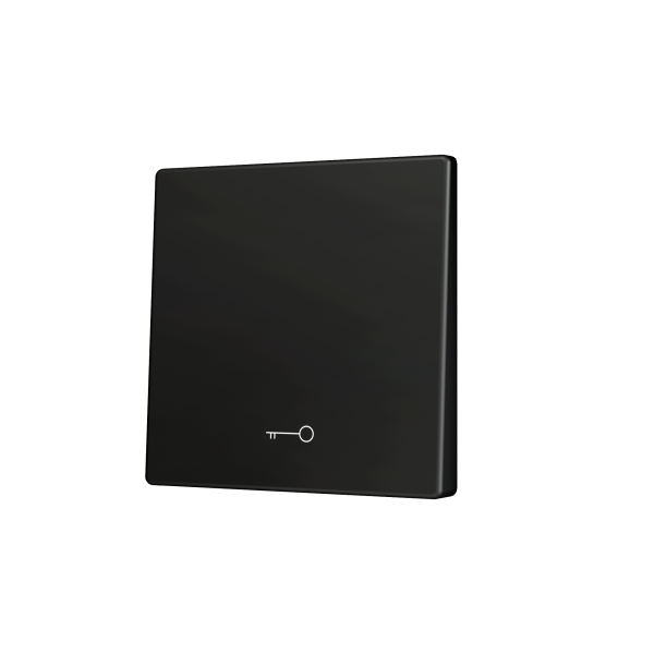 ZS55. Cover for Simple KNX Soft push button 55x55 mm. Tilt down - Key icon - Anthracite