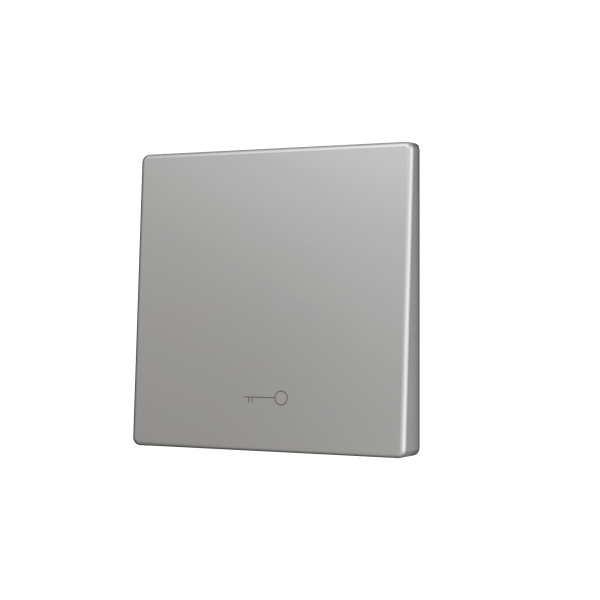 ZS55. Cover for Simple KNX Soft push button 55x55 mm. Tilt down - Key icon - Silver