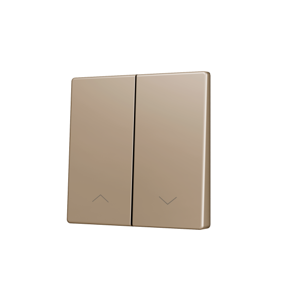 ZS55. Cover for Double KNX Soft push button 55x55 mm. Tilt down - Shutter icon - Champagne