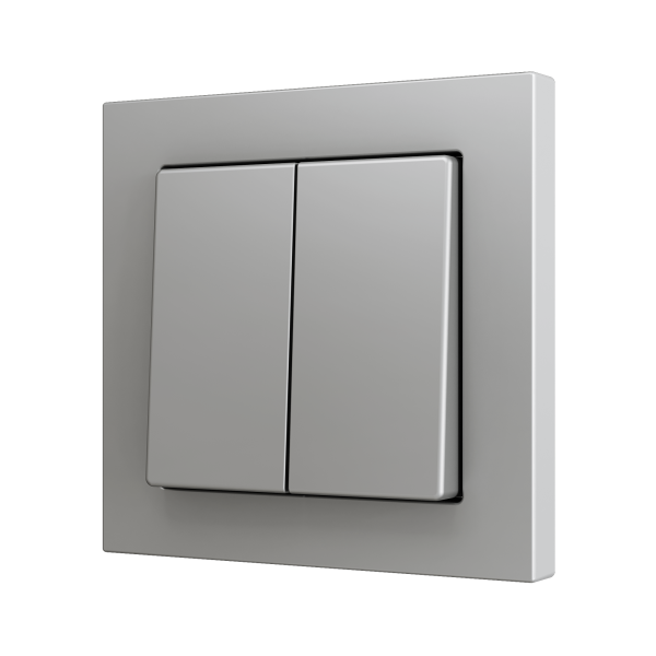 ZS55. Double Soft push button for 2 binary inputs 55x55 mm - Silver