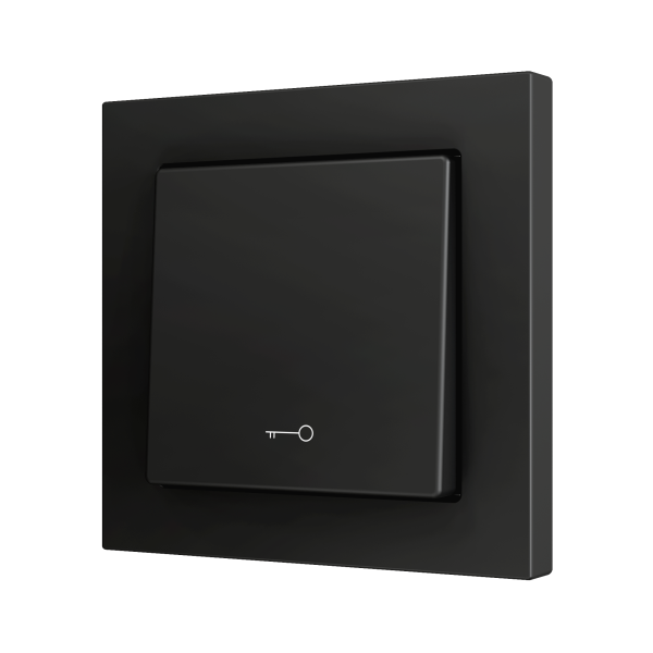 ZS55. Simple Soft push button for 1 binary input 55x55 mm - Key icon - Anthracite