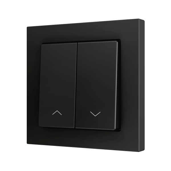 ZS55. Double Soft push button for 2 binary inputs 55x55 mm - Shutter icon - Anthracite