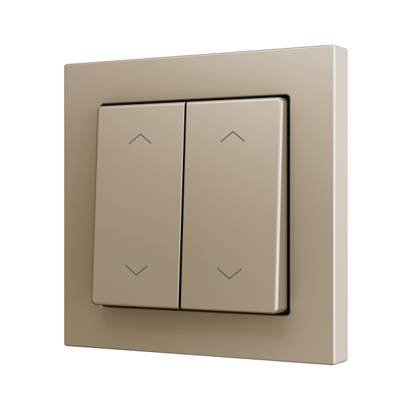 ZS55. Double Soft push button for 4 binary inputs 55x55 mm - Shutter icon - Champagne