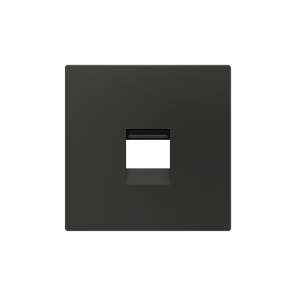 ZS55. Cover plate for RJ45 connector 55x55 mm - 1 insert - Anthracite