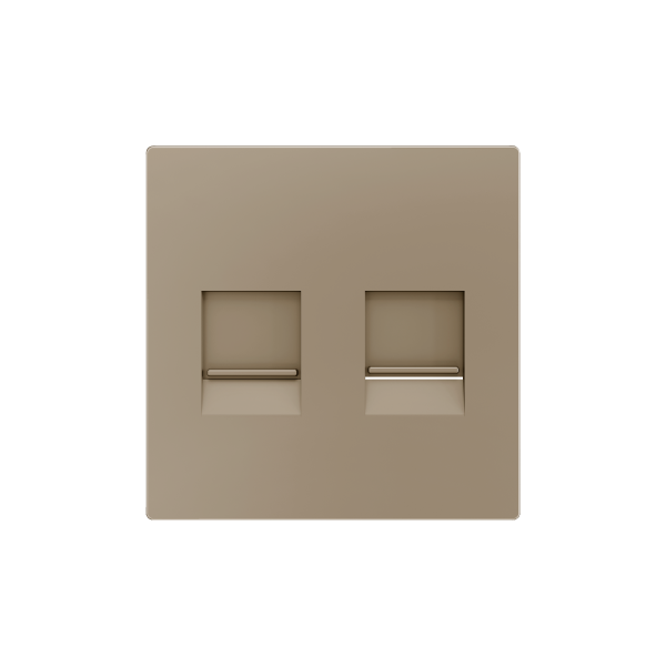 ZS55. Cover plate for RJ45 connector 55x55 mm - 2 inserts - Champagne