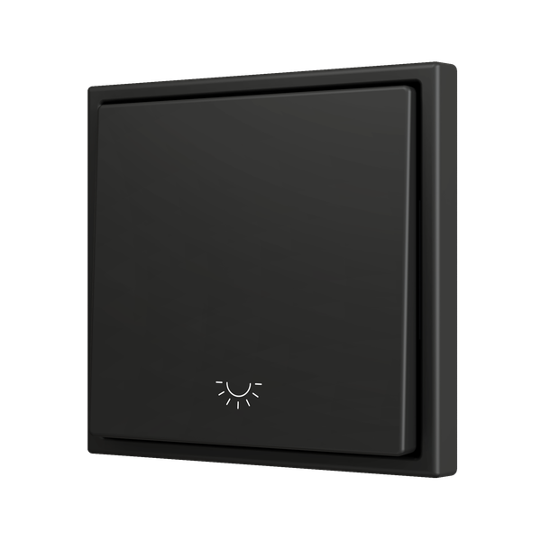 ZS70. Simple Soft push button for 1 binary input 70x70 mm - Light icon - Anthracite