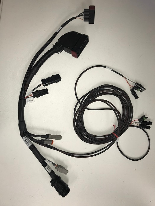 ライフバンデージ AXIO Amazon.co.jp: ライフバンテージ AXIO アクシオ レギュラー