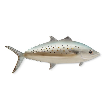 Spanish Mackerel Single - MM231