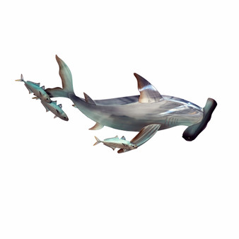 Hammerhead With Small Fish CO203