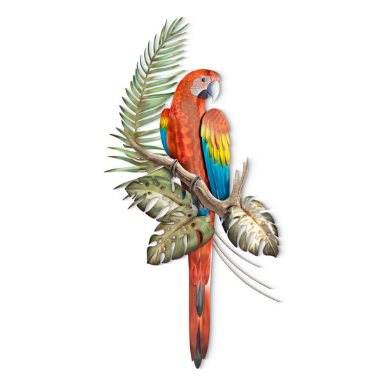 Red Macaw on Branch MM096