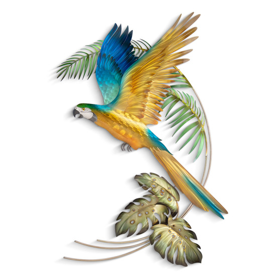 Blue and Gold Macaw MM095